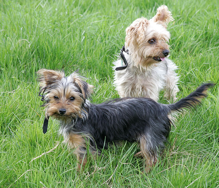 Maxi and Bonnie