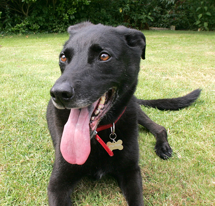 Jet