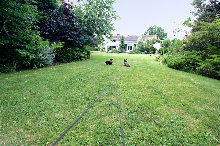 Long Leads